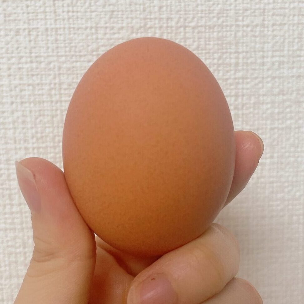 幻の卵屋さん　日本海食べてご卵